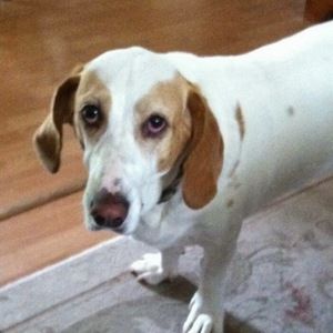 Meet your Posher, Sandy